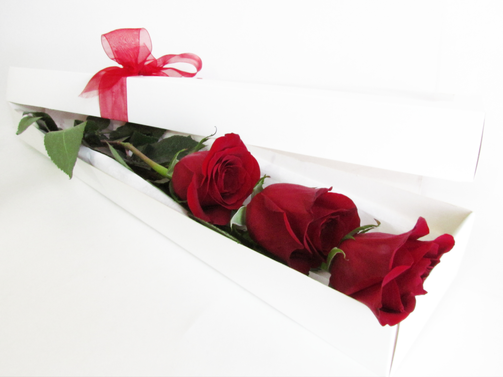 caja de 3 Rosas