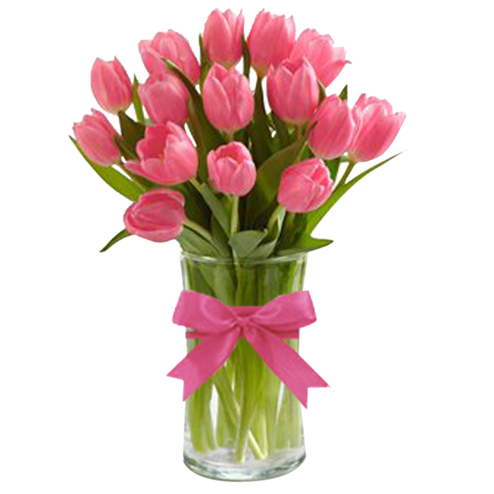 TULIPANES EN FLOR